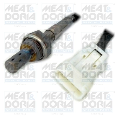 Oxygen Sensor